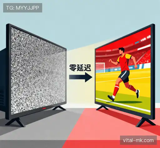 我们的关键优势